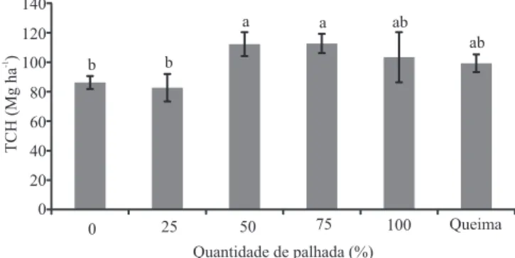 Figura 6.  Produtividade  de  cana  (TCH),  sob  diferentes  quantidades de palhada, aos 350 dias após o plantio