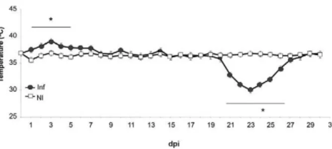 Fig.  6:  body  temperature.  From  1-5  days  post-infection  (dpi),  Try- Try-panosoma cruzi-infected group [Inf (grey circles)] presented with  hy-perthermia