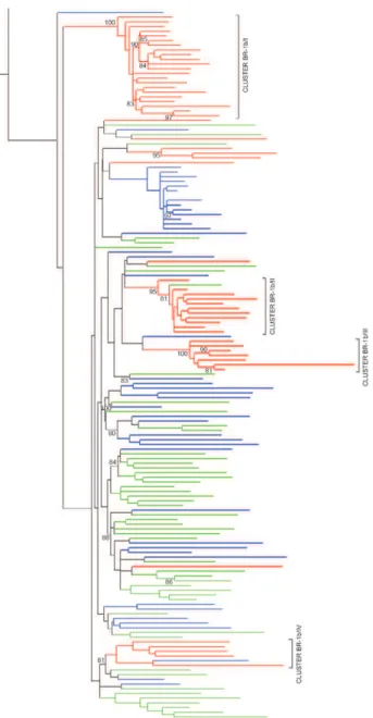 Table III presents the amino acid signature patterns  observed in clades 1 and 2 of HCV subtype 1a
