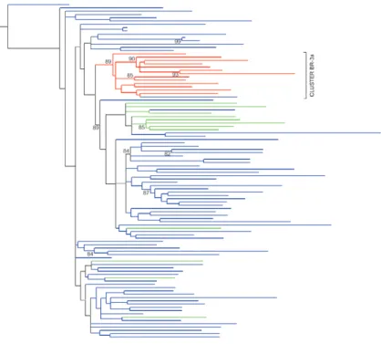 Fig. 3: maximum-likelihood phylogenetic tree of hepatitis C virus subtype 3a from NS3 protease sequences showing evolutionary relationships  between 13 Brazilian (red branches) and representative sequences from Europe (blue branches) (n = 77) and North Ame
