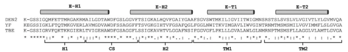 Fig. 2: genomic structure of recombinant yellow fever (YF) 17D vi- vi-ruses at the E/NS1 intergenic region