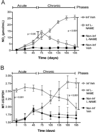 Fig. 1: histopathological changes in heart and skeletal muscle of Try- Try-panosoma  cruzi  RyCH1  in  infected  non-treated  (Inf)  and  infected  N-monomethyl-L-arginine  treated  (Inf  L-NAME)  groups