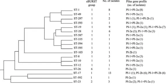 Table  II  presents  the  relationships  between  the  se- se-quence  types,  cps  genotypes  and  the  combinations  of  various genetic markers (surface protein genes, MGEs,  pilus islands) for all 55 strains.