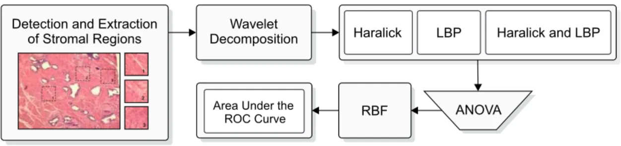 Figure 1: Flowchart of the proposed classification system.