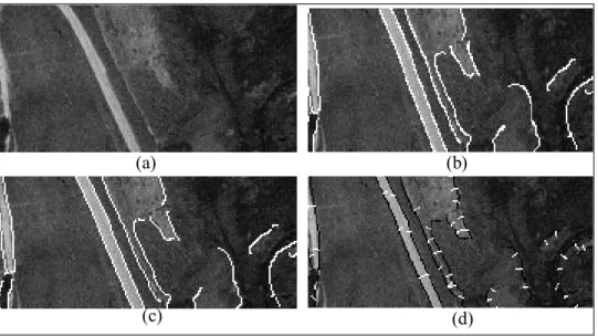 Fig. 3 – Construction of road objects. (a) original image; (b) Edge detected by Canny; (c) Edges vectorized; and (d) Edges polygonized and mean image gradient vectors.