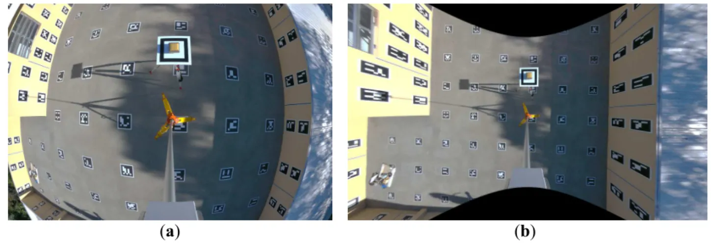 Figure 5. Example of a vertical image acquired in the calibration field: (a) original fisheye  image and (b) resampled image