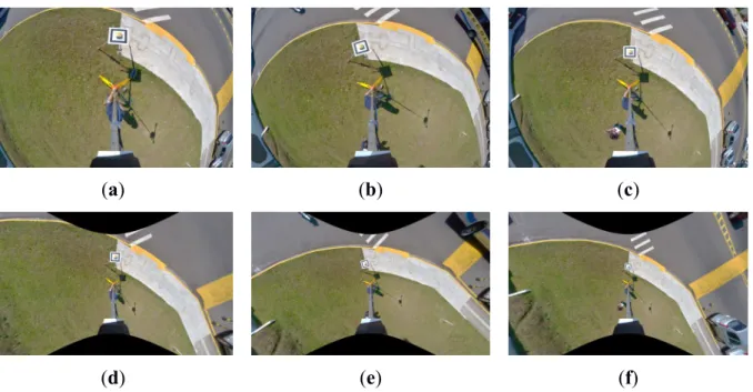 Figure 9.  Multi-scale models with original images from (a–c) and resampled images  from (d–f)