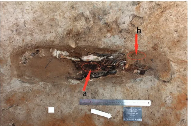 Fig. 2: infant skeleton was excavated at Zeleniy Yar and place of sampling. a: the place of abdomen where the soil sample was collected for the  paleoparasitological study