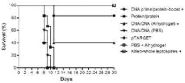 Fig. 1: humoral immune response in hamsters immunised with LigBrep  vaccines measured by ELISA
