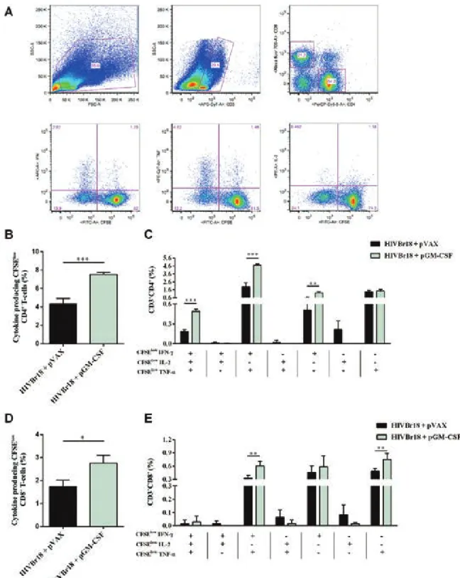 Fig. 2: co-administration of pasmid-encoded granulocyte-macrophage colony-stimulating factor (pGM-CSF) increases the frequency of hu- hu-man immunodeficiency virus-1 subtype B conserved peptides (HIVBr18)-induced polyfunctional CD4 +  T-cells