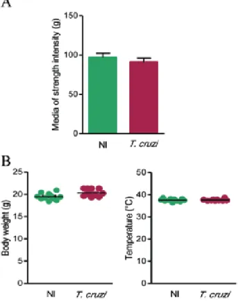 Fig. 6: analysis strength and sickness behaviour in C57BL/6 mice chronically infected with Trypanosoma cruzi