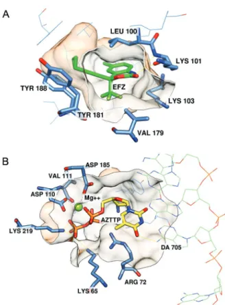Fig. 2A: efavirenz (EFZ) (green) within the nonnucleoside reverse  transcriptase inhibitor (NRTI) allosteric binding site [Protein Data  Bank (PDB) code: 1FK9 (Ren et al