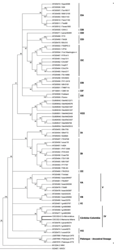 Fig. 2: a phylogenetic tree estimated by the maximum likelihood analysis of 73 envelope sequences of Saint Louis encephalitis virus data  under the GTR+I+G model of nucleotide substitution