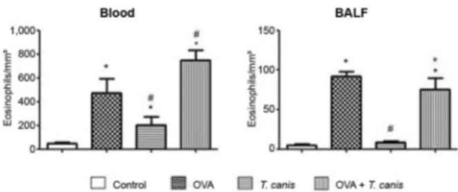 Fig. 5: lung histology stained with haematoxylin and eosin. Control,  ovalbumin (OVA), Toxocara canis and OVA + T