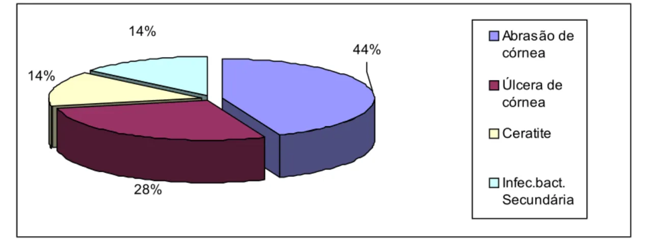Tabela II. Distribuição dos diagnósticos do atendi- atendi-mento inicial no HC-UNESP.