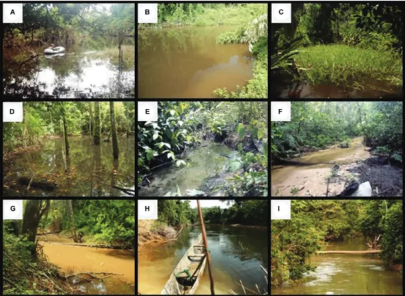 Fig. 6: natural anopheline breeding habitats in the Brazilian Amazon. A: U-shaped lakes associated with the river (LAR) or oxbow lake