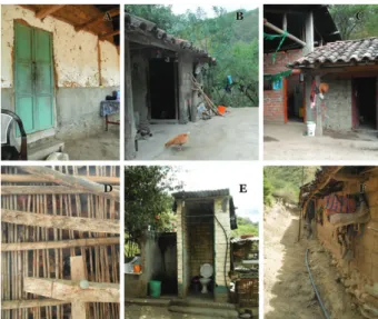 Fig. 1: positive deviants have implemented different solutions to deter  the natural decay of their houses and reorganise their living  environ-ments