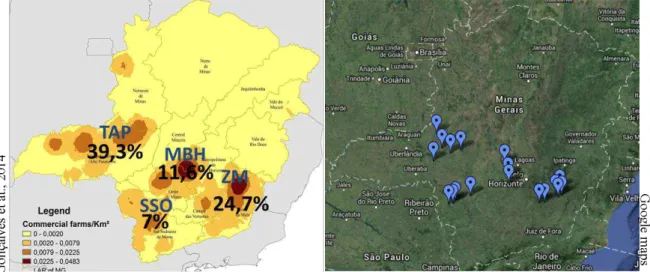 Figura  6:  Distribuição  geográfica  dos  municípios  mineiros  onde  foram  amostrados  os  rebanhos