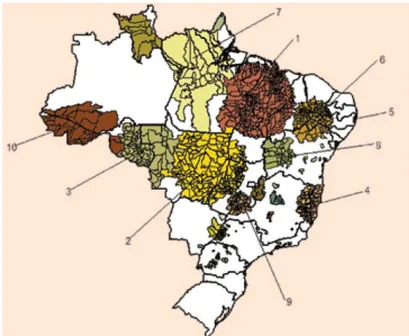 FIGURA 1 - Os 10 primeiros clusters de casos de hanseníase, identificados   novos  no  período de 2005 a 2007, Brasil