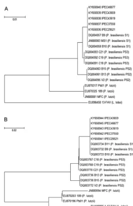 Fig. 1: evolutionary relationships of Paracoccidioides spp. The evo- evo-lutionary history was inferred using the Neighbour-Joining method