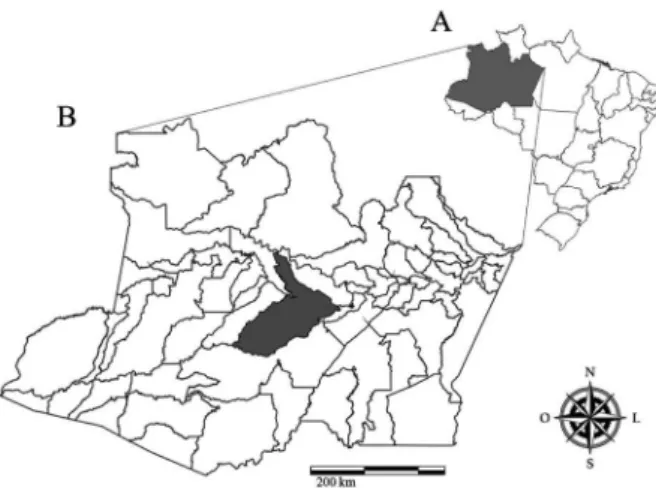 Fig. 1: (A) map of Brazil with emphasis on the state of Amazonas. (B) Lo- Lo-cation of the study area, municipality of Coari, Amazonas state, Brazil.