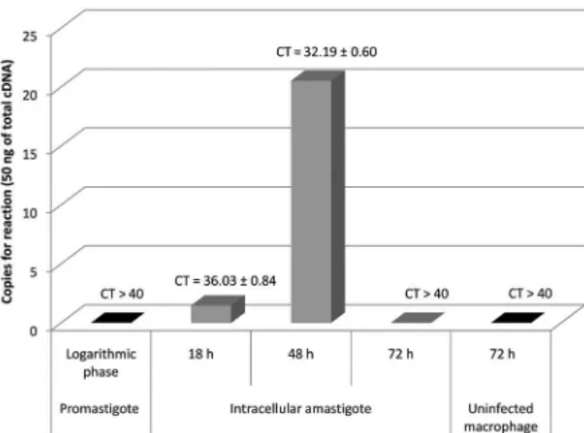 Fig. 1: quantitative analysis of Lc36 gene expression in different life- life-cycle stage forms of Leishmania infantum