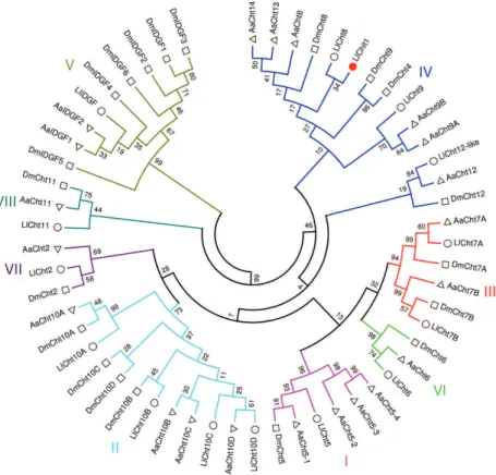 Fig. 1: phylogenetic analysis of the chitinase gene family from three different species of dipterans based on the catalytic domain like sequence