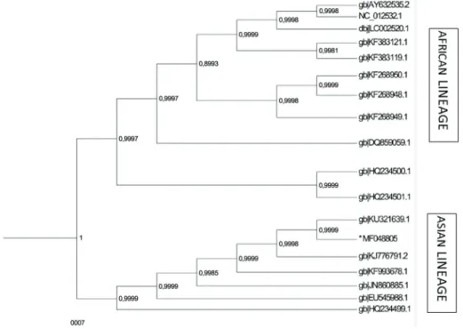 Fig. 3: Sanger population sequence obtained from recipient *MF48805 compared to NGS sequence obtained from the same sample (KU321639)