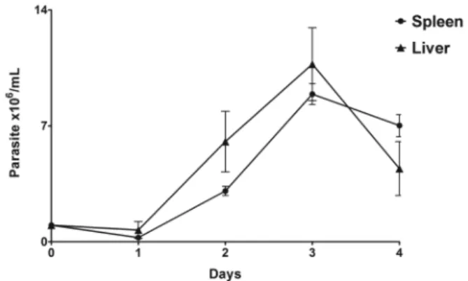 Fig. 1: in vitro growth curve of Trypanosoma janseni epimastigotes  derived from the spleen and liver of Didelphis aurita