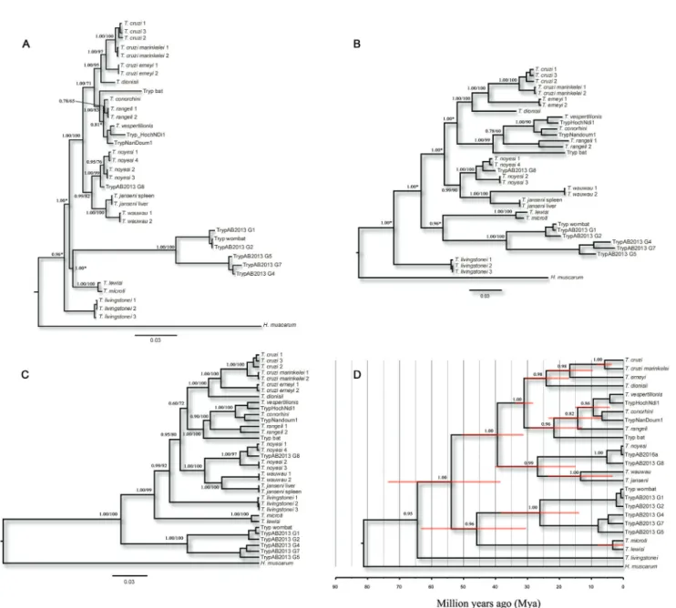 Fig. 4: phylogenetic reconstructions based on Bayesian inferences (BI) and Maximum Likelihood (ML) methods