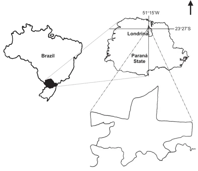 Fig. 1. Localization of the Parque Estadual Mata dos Godoy in Paraná State, southern Brazil.