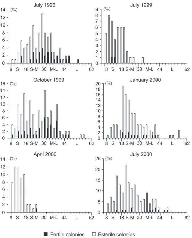 Fig. 3. Frequency distribution of colonies of Eudendrium caraiuru from São Sebastião Channel (Southeastern Brazil), according to height classes
