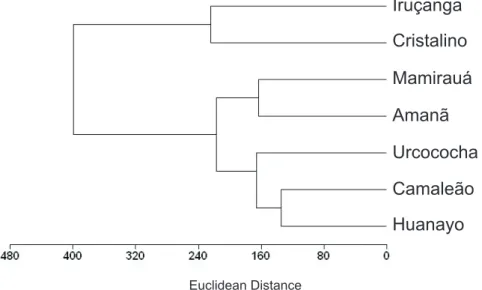 Fig. 4. Dendrogram grouping for populations of Palaemonetes spp. from seven lakes of Peruvian and Brazilian Amazon Basin.