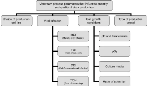 Figure  1.7:  Upstream  process  parameters  that  influence  quality  and  quantity  of  virus  production
