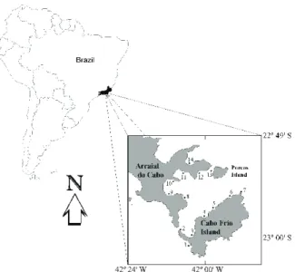 Fig. 1. Sites where ascidians were collected in Arraial do Cabo region, RJ. 1, Saco dos Ingleses; 2, Boqueirão; 3, Praia do Farol; 4, Maramutá; 5, Pedra Vermelha; 6, Saco do Anequim; 7, Ponta Leste;