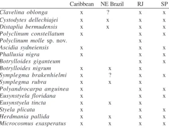 Table I. North – Southern distribution of ascidian species along the West Atlantic according to the literature 1  and the present study.