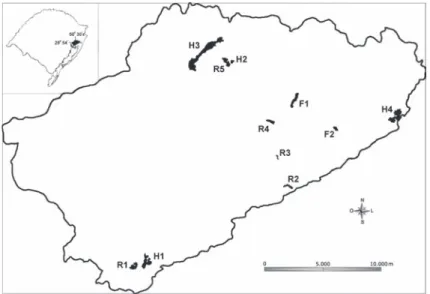 Fig. 1.  Map of Banhado Grande wet plain, State of Rio Grande do Sul, Brazil, showing the eleven sampling sites