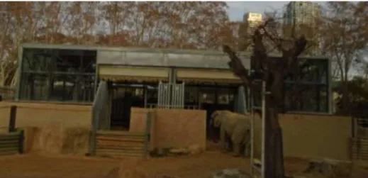Figura 2 Comunicação entre as instalações exteriores e interiores dos elefantes (Loxodonta africana) no Zoo de  Barcelona (Fotografia gentilmente autorizada pelo Zoo de Barcelona) 