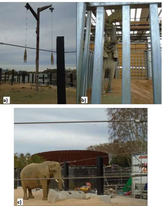 Figura 5 Suspensão de comida nas instalações a)exterior e b)interior, c) Manilha com orifícios para colocar feno  (Fotografias gentilmente autorizadas pelo Zoo de Barcelona)