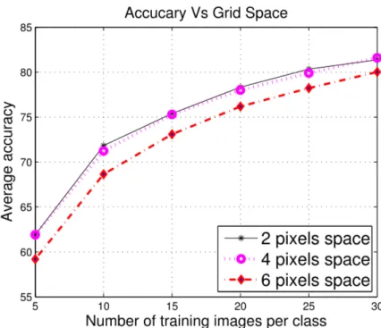 Figure 4.3: Performance under different grid spaces (Caltech 101). Our tests identify that with 2 and 4 pixels between patches our approach reaches stability, with the highest obtained recognition rate at Caltech 101
