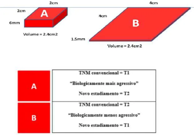 Figura  4.  Comparação  do  mesmo  volume  tumoral,  recorrendo  ao  estadiamento  TNM  e  ao  “novo” 