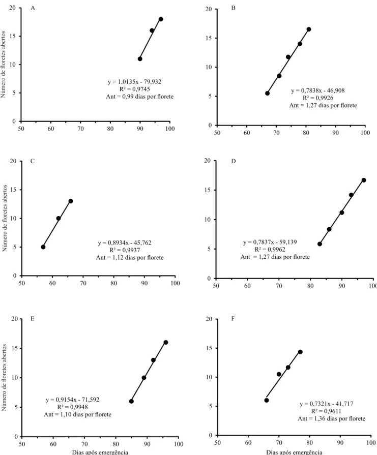 Figura 2. Regressão linear simples entre número de loretes abertos e dias após emergência, no cálculo do antocrono das  cultivares de gladíolo 'Amsterdã' (A, B), 'Jester' (C, D) e 'Rose Friendship' (E, F), plantadas em 4/10/2012 (A, C, E) e em  1/3/2013 (B