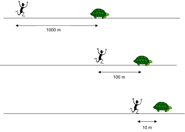 Figura 1. Paradoxo de Aquiles e a tartaruga. 
