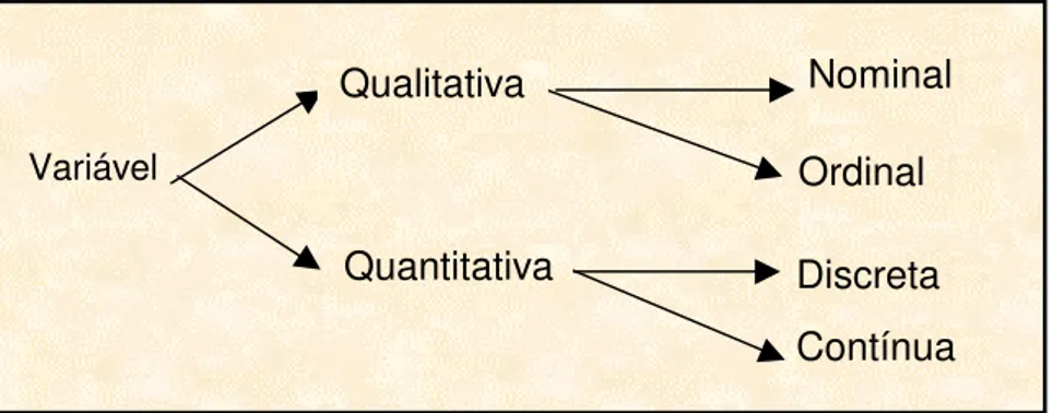 Figura 2.1 – Tipos de variável