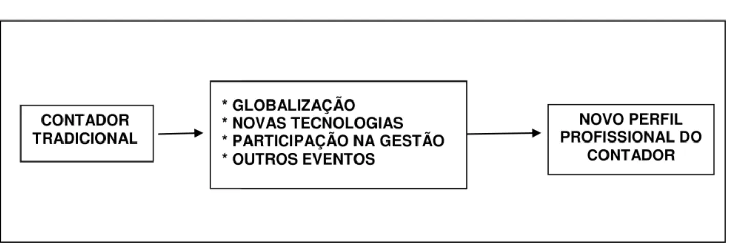 Figura 5. Mudanças no Perfil Contabilista 