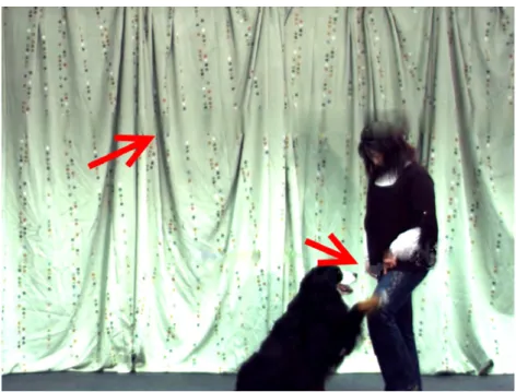 Figure F.4: Still image from DOG sequence, for 2% UDP packet losses