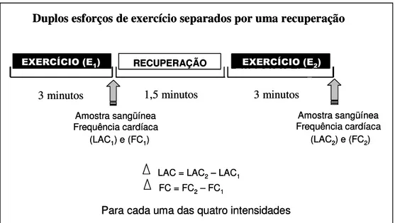 Figura 1. Protocolo experimental adaptado de Manchado et al. (2006) para  a determinação da velocidade crítica (Vcrit) baseada no método Chassain  (1986)