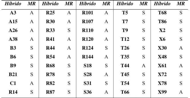 Tabela 9. Modo de reprodução de híbridos de B. decumbens, analisados por  microscopia com contraste de interferência, na Embrapa Gado de Corte