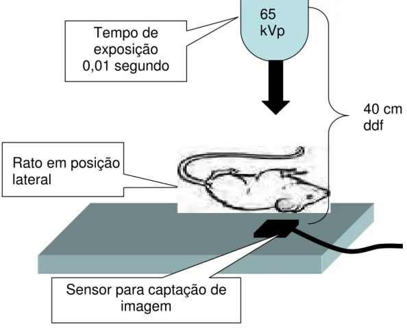 Figura 1 - Representação esquemática das tomadas radiográficas pelo  Sistema Visualix Gx-S-HDI (projeto inicial) 