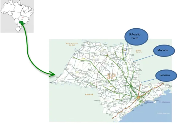 Figure 2 – Map of São Paulo State (highlighted in Brazil’s map) 